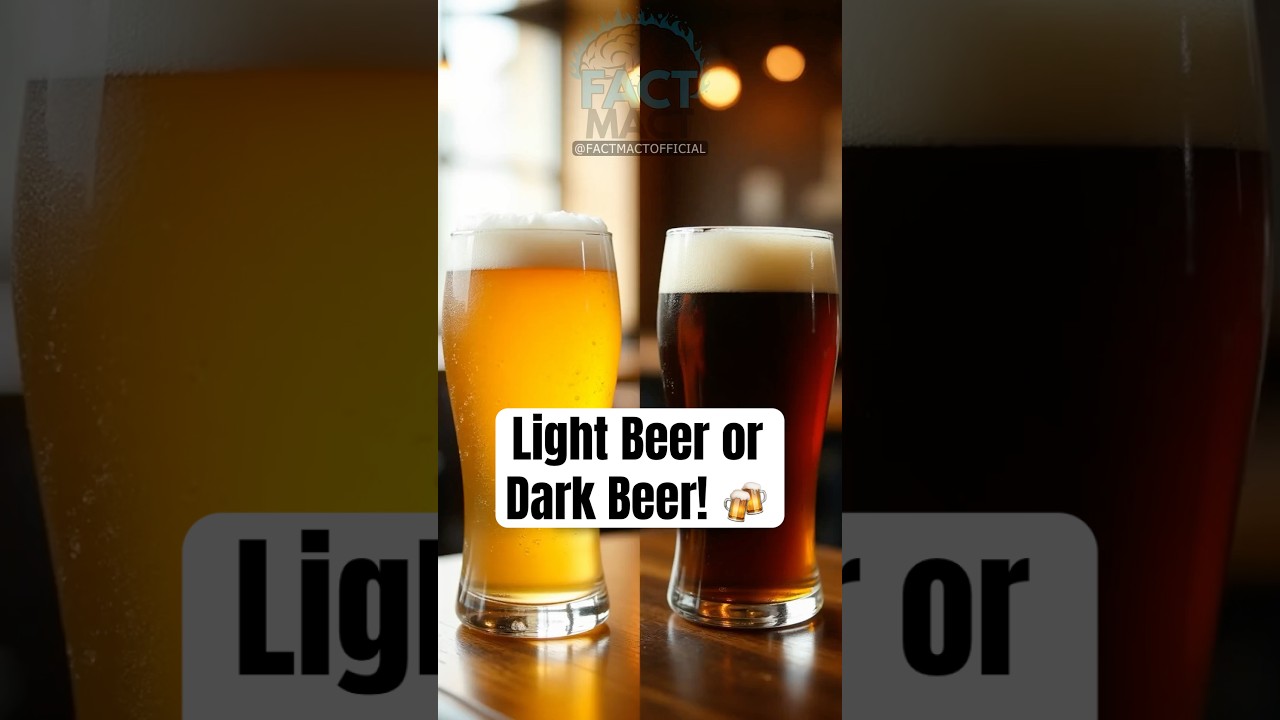 Light Beer vs. Dark Beer!🍻