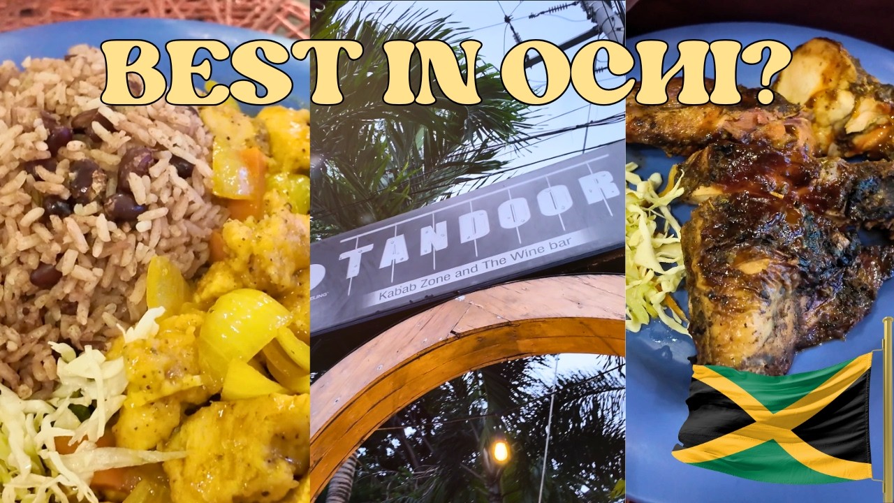 Tandoor Kabab Zone Ocho Rios 🇯🇲🔥 Best Indian & Asian Fusion in Jamaica?
