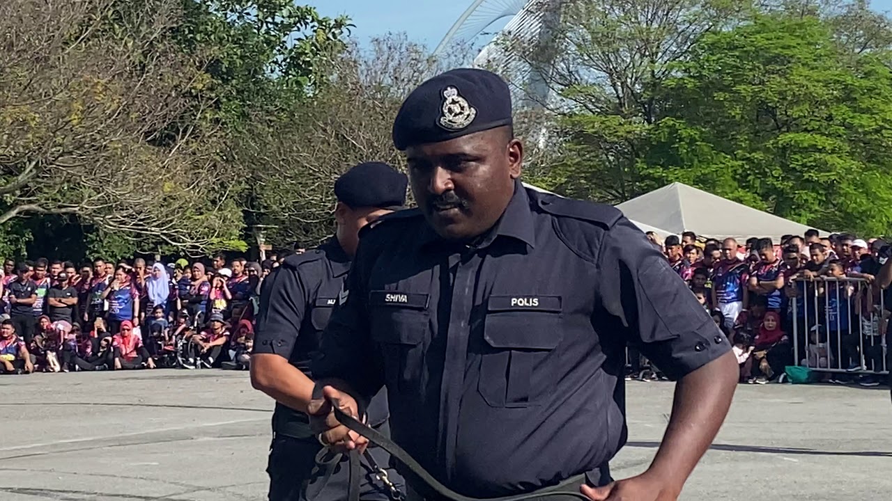 Anjing Latihan PDRM Malaysia memang terbaik mendapatkan Dadah