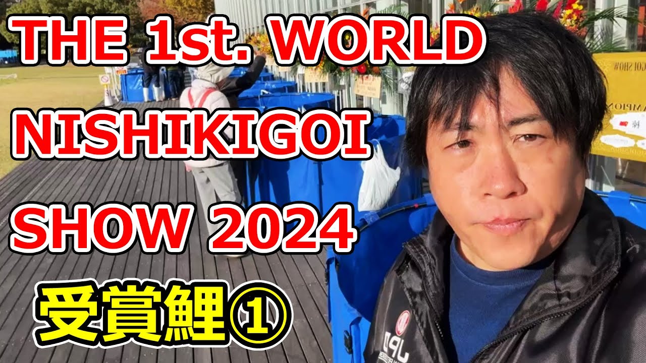 【全部撮る！】THE 1st. WORLD NISHIKIGOI SHOW 2024【受賞鯉①】