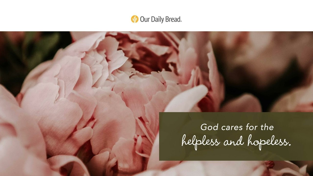 Divine Tenderness | Audio Reading | Our Daily Bread Devotional | June 13, 2022