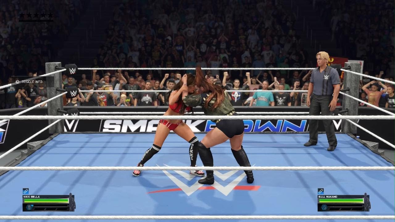 WWE Divas Title Match