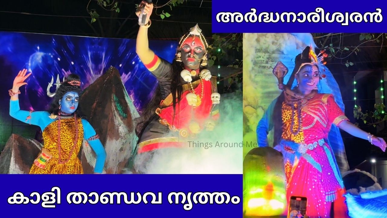 കാളി താണ്ഡവ നൃത്തം | Kali Thandav  | Shiva Tandav | Ardhanareeswara Dance | Shiv Rathri