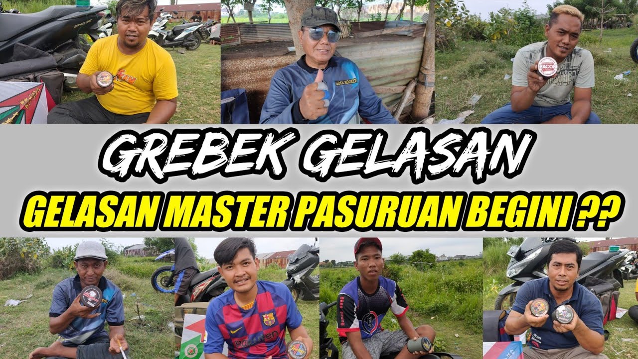 BERAPA HARGA GELASAN MASTER PASURUAN ❓|| LAYANGAN ADUAN PASURUAN