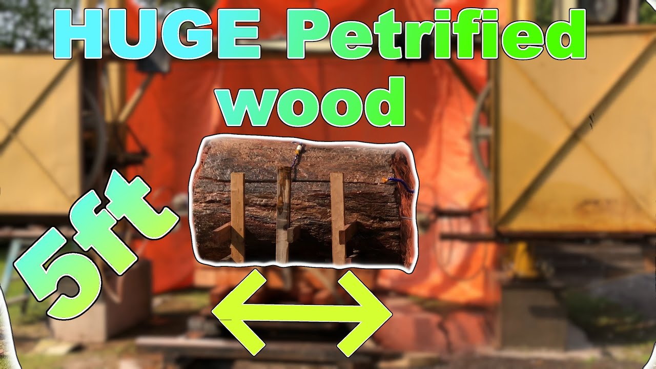 Part1: Cutting Massive Arizona Petrified Wood Log #petrifiedwood