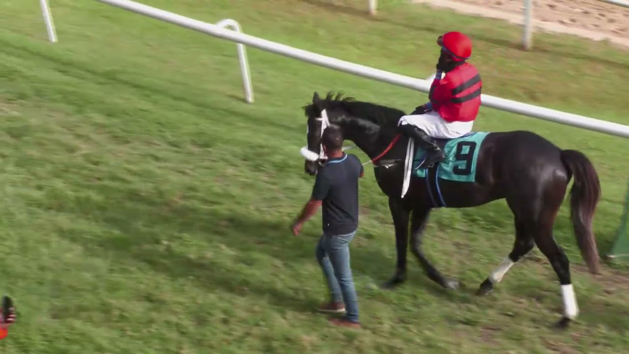BTC RACE DAY 7TH FEB 2026   RACE 5
