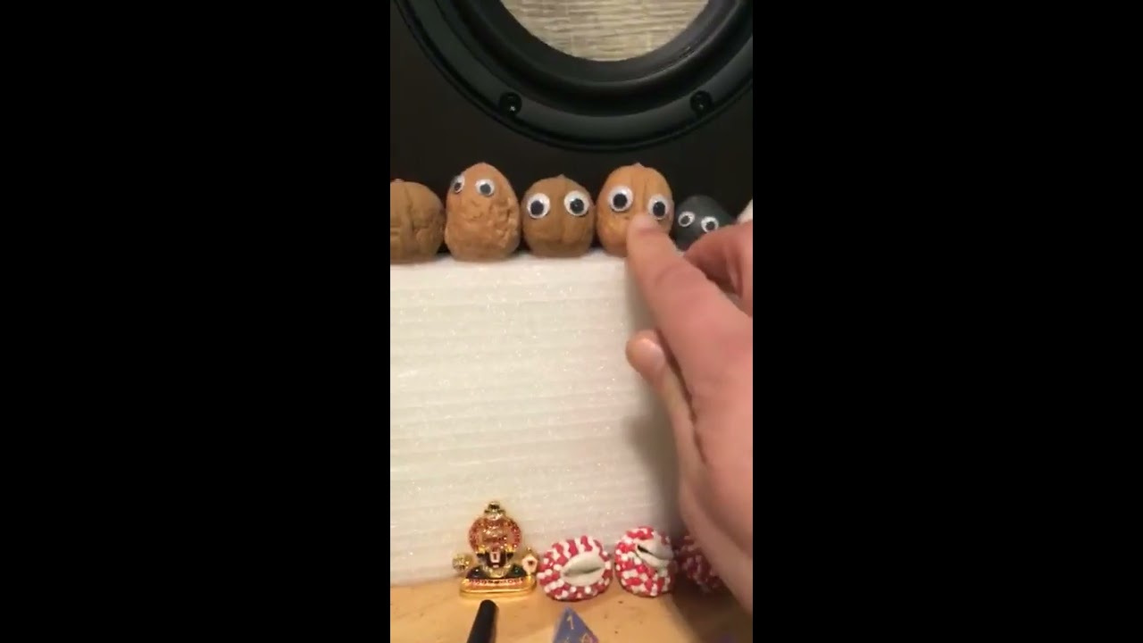 Jamie Stewart Instagram Livestream (March 2020, Xiu Xiu)