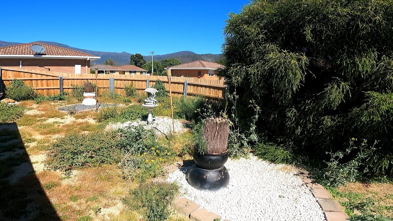 Amazing Rock Garden Rejuvenation | You Won't Believe the Difference