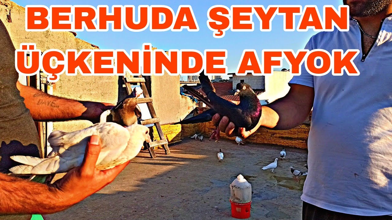 BERMUDA ŞEYTAN ÜÇGENİNDE AFYOK 6 TANE KAÇAK BİRTANEYİ NASİL KAÇİRDİ
