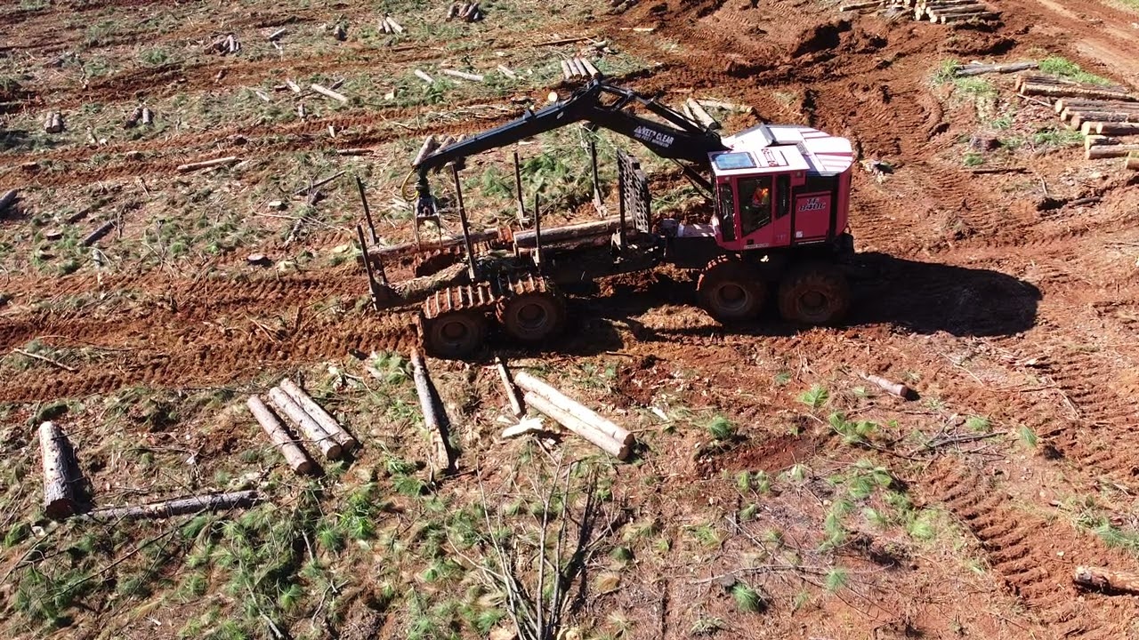 Tigercat and TimberPro