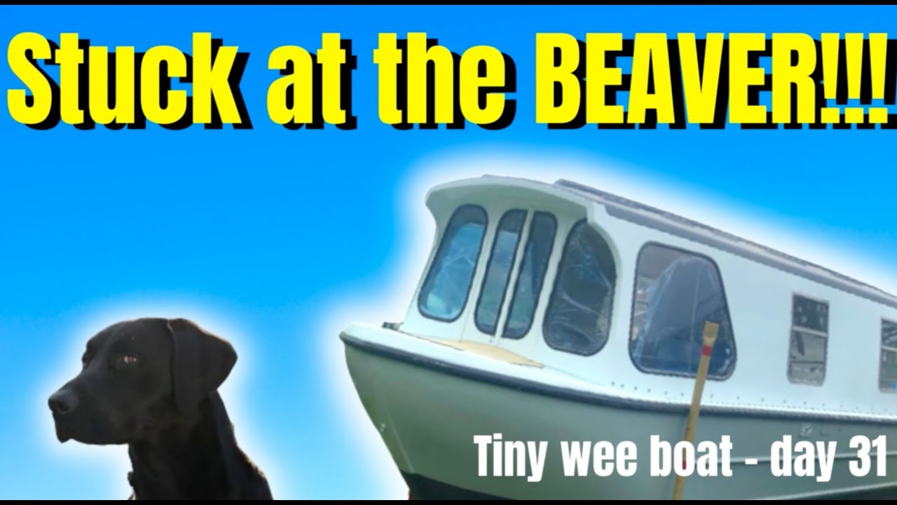 We got STUCK at the BEAVER! - Tiny Wee Boat Renovation day 31