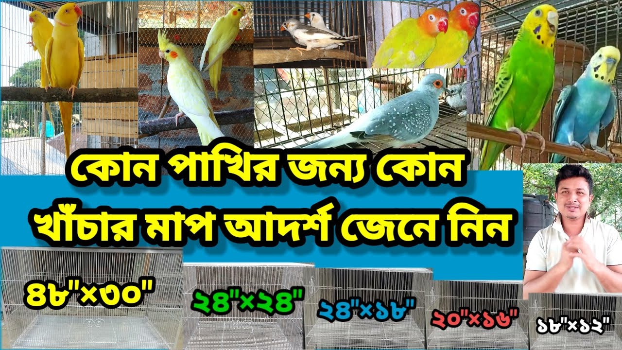 পাখির খাঁচার মাপ || কোন পাখির জন্য কোনটি খাঁচা আদর্শ জেনে নিন || Bird cage size || Birds of village