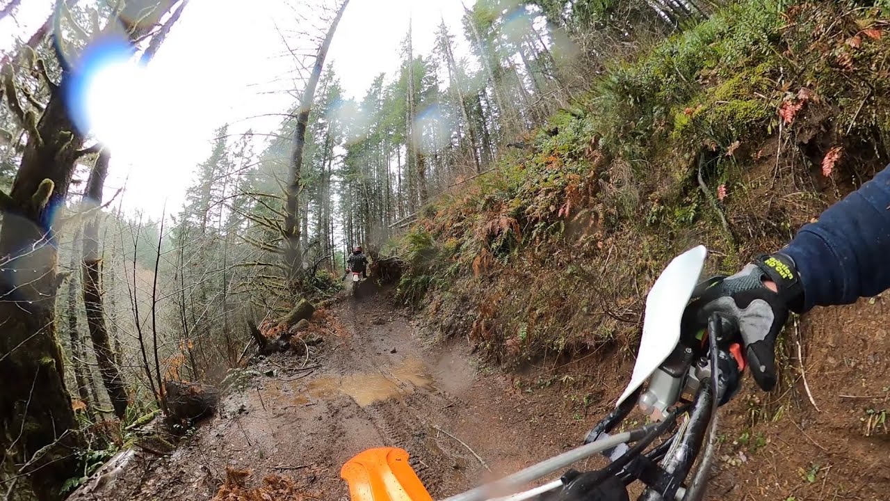Elliott Creek #25 - Roger’s Camp TSF