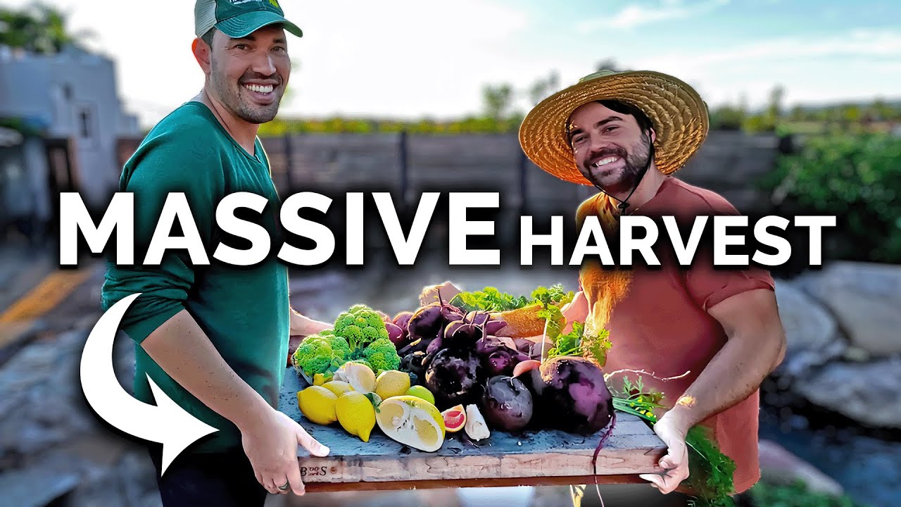 Harvesting THIS MUCH In Winter?!