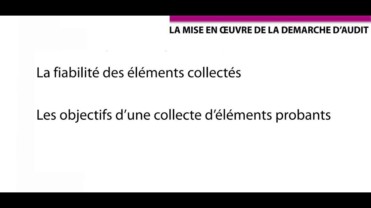 La mise en oeuvre de l'audit