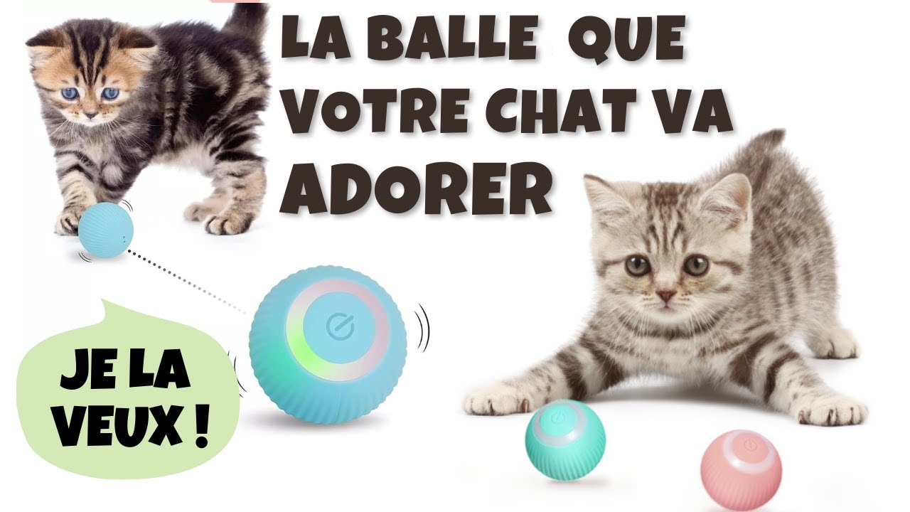 Votre chat va adorer - Balle &agrave; rotation automatique &agrave; 360&deg; - Et aussi pour votre chaton.