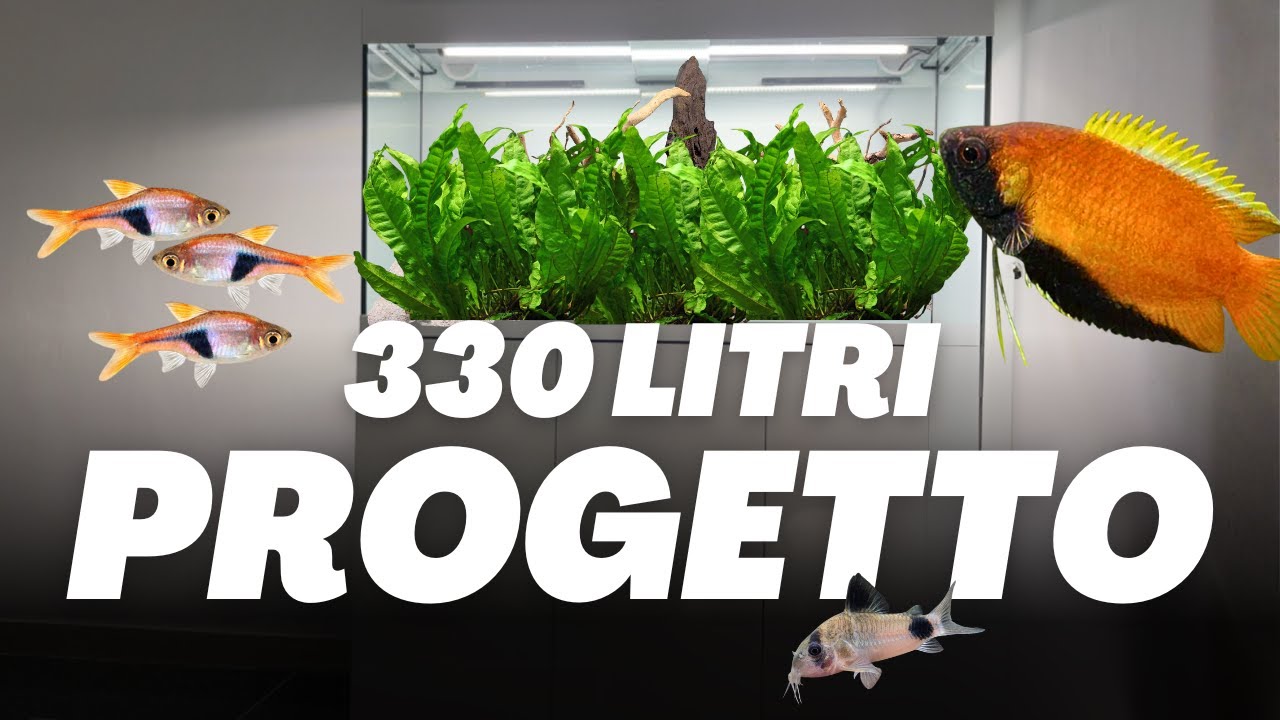 Progetto acquario da 330 litri