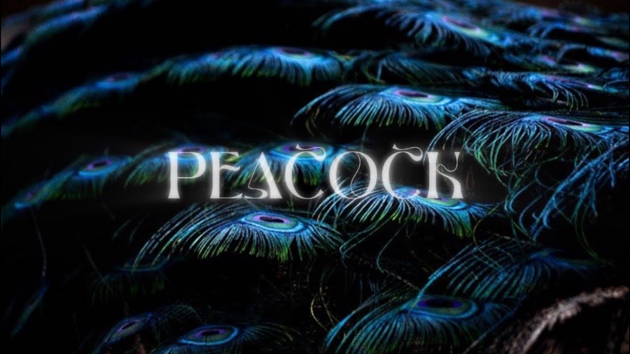 peacock
