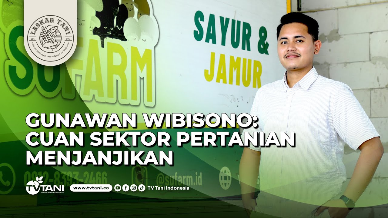 Gunawan Wibisono Raup Omset Milyaran dari Budidaya Tauge