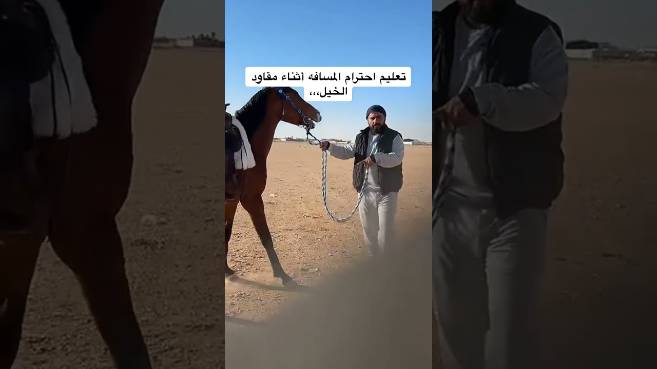 تعليم المسافة اثناء مقاود الخيل