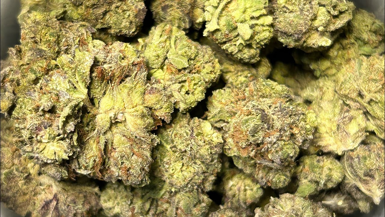 Strain appreciation: Garlic Cookies