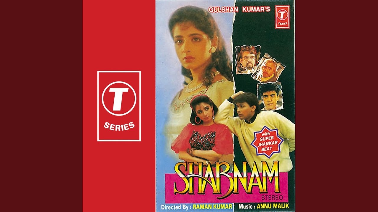 Tera Naam Likhkar Haathon Pe Hum Chooma Karte Hain