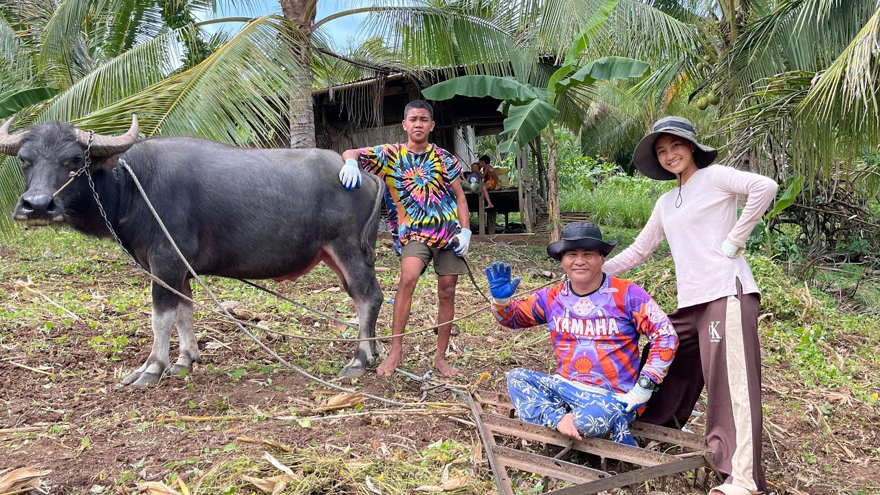 CLEARING WEEDS IN THE MOUNTAIN WITH MY FAMILY | Preparing Land For Crops 