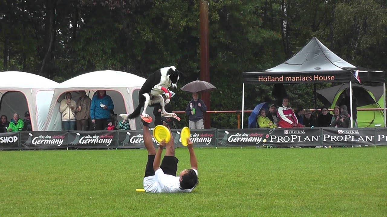 1st Place Division 1 - DDCG Hackenbroich 2015 - Shaun Hirai & Gats