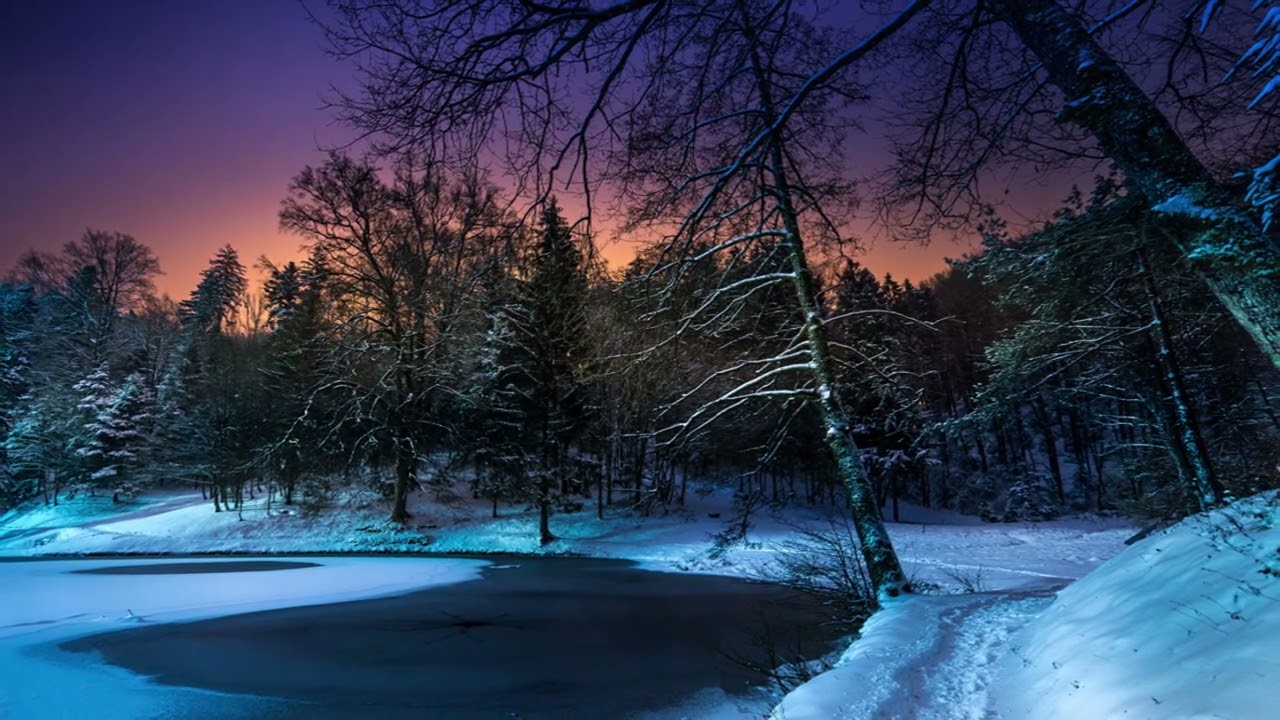 The Path of Silence (Anne Sphie Versnaeyen).