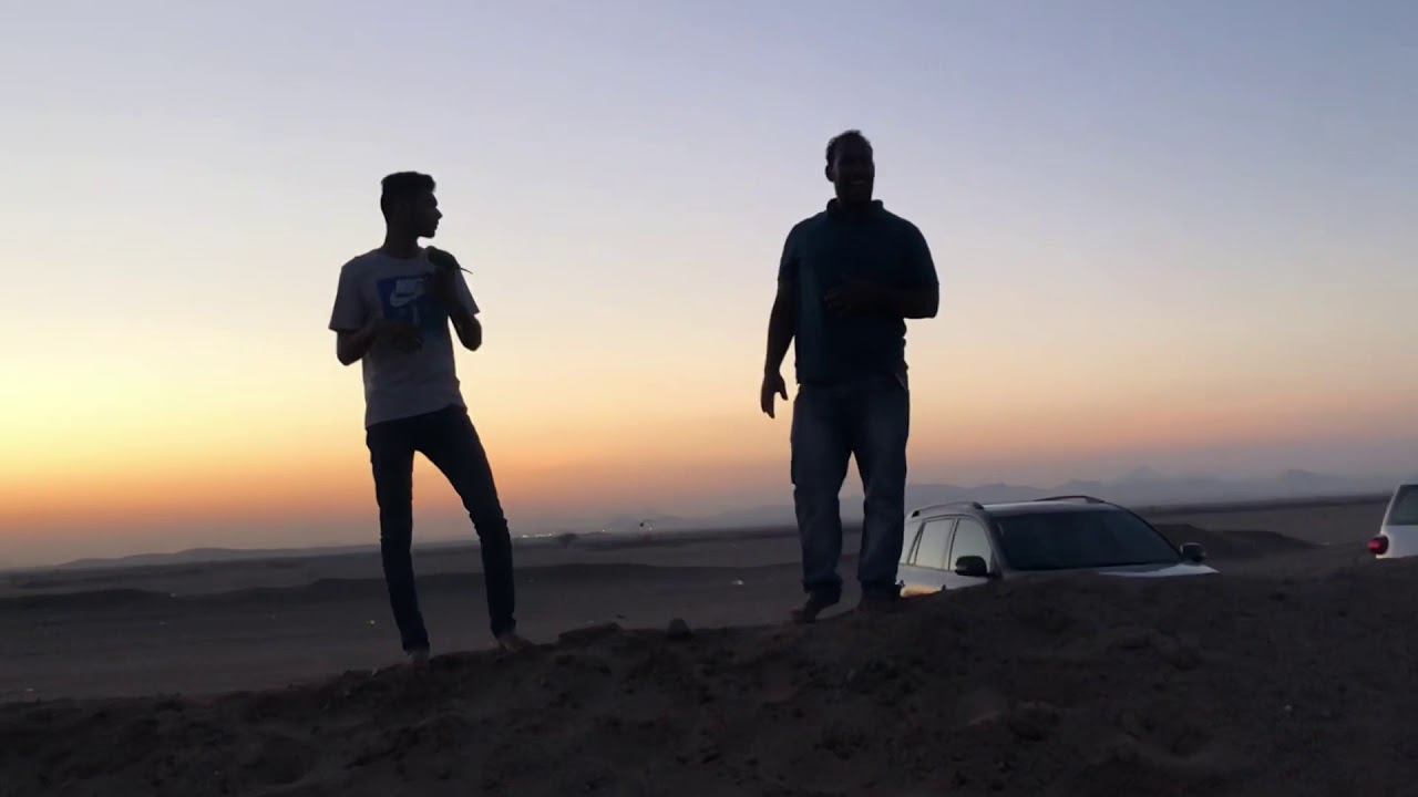 طيران الببغاء السينغالي الحر .. sengal parrot free flying