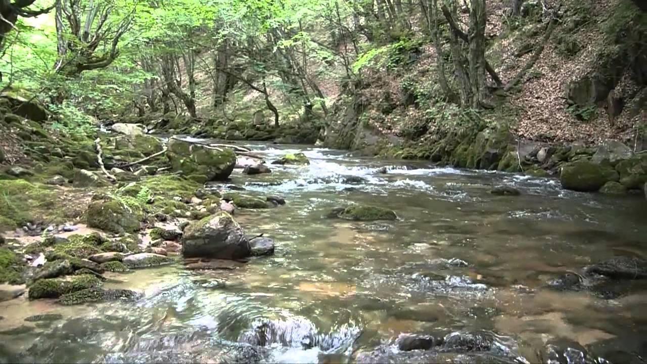 Fly Fishing in Macedonia