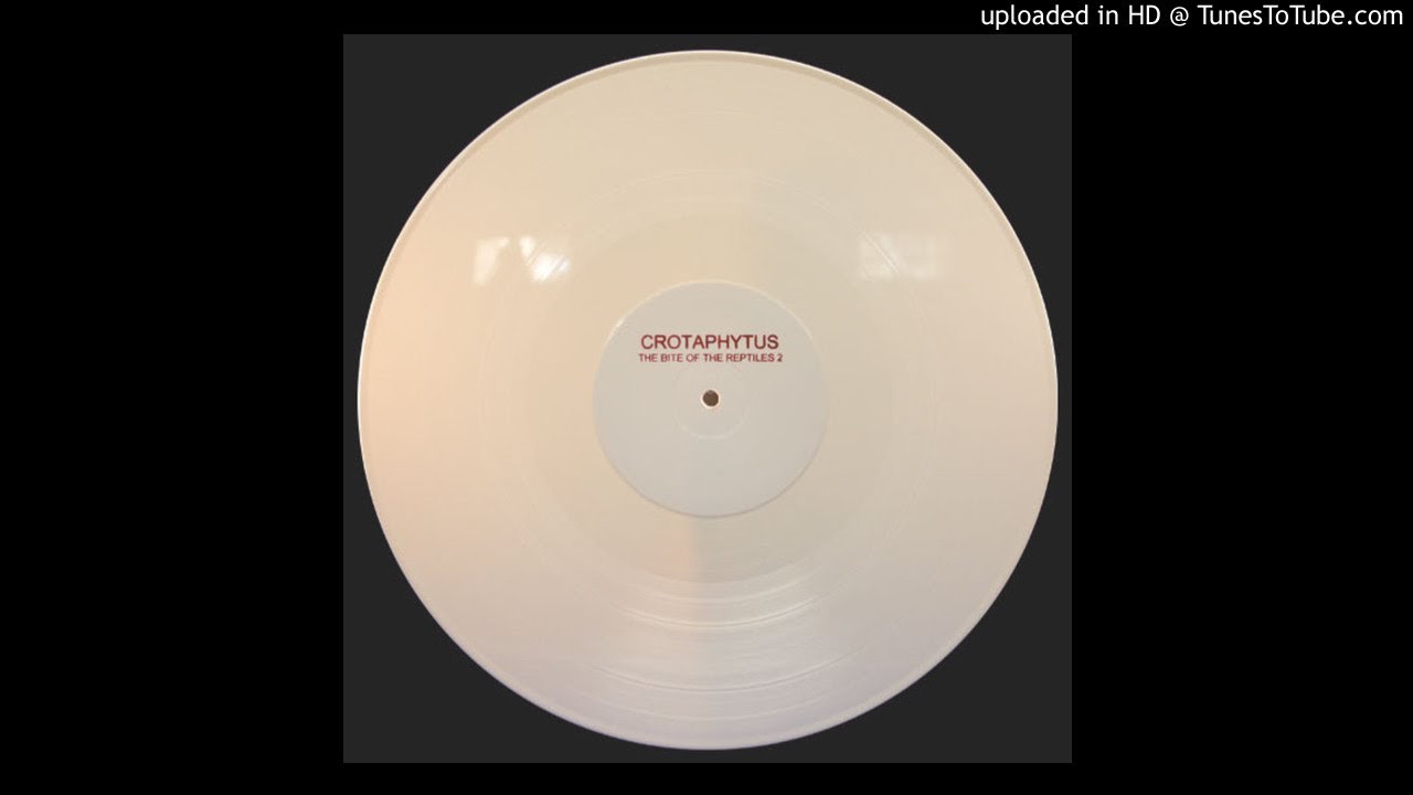 Crotaphytus - Coleonyx Variegatus