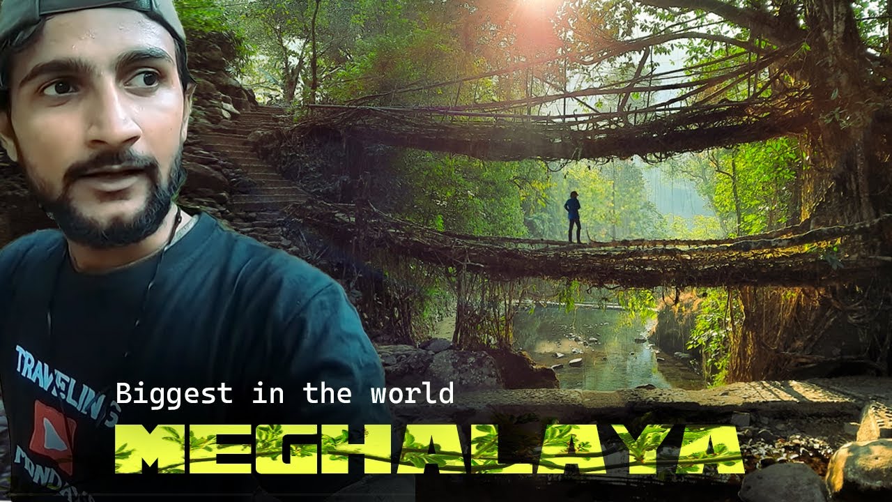 World's Only Living Root Bridge in Meghalaya : Incredible India