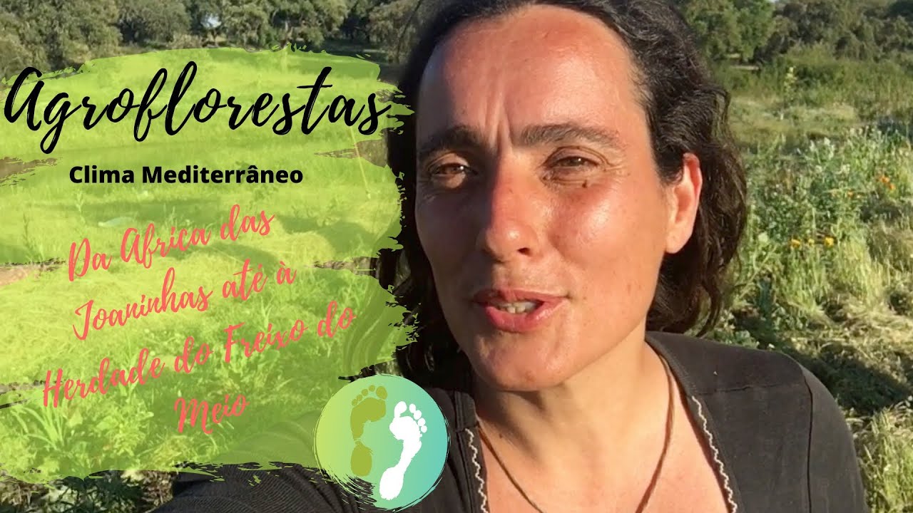 Agroflorestas em clima mediterrâneo - Da Africa das Joaninhas à Herdade do Freixo do Meio