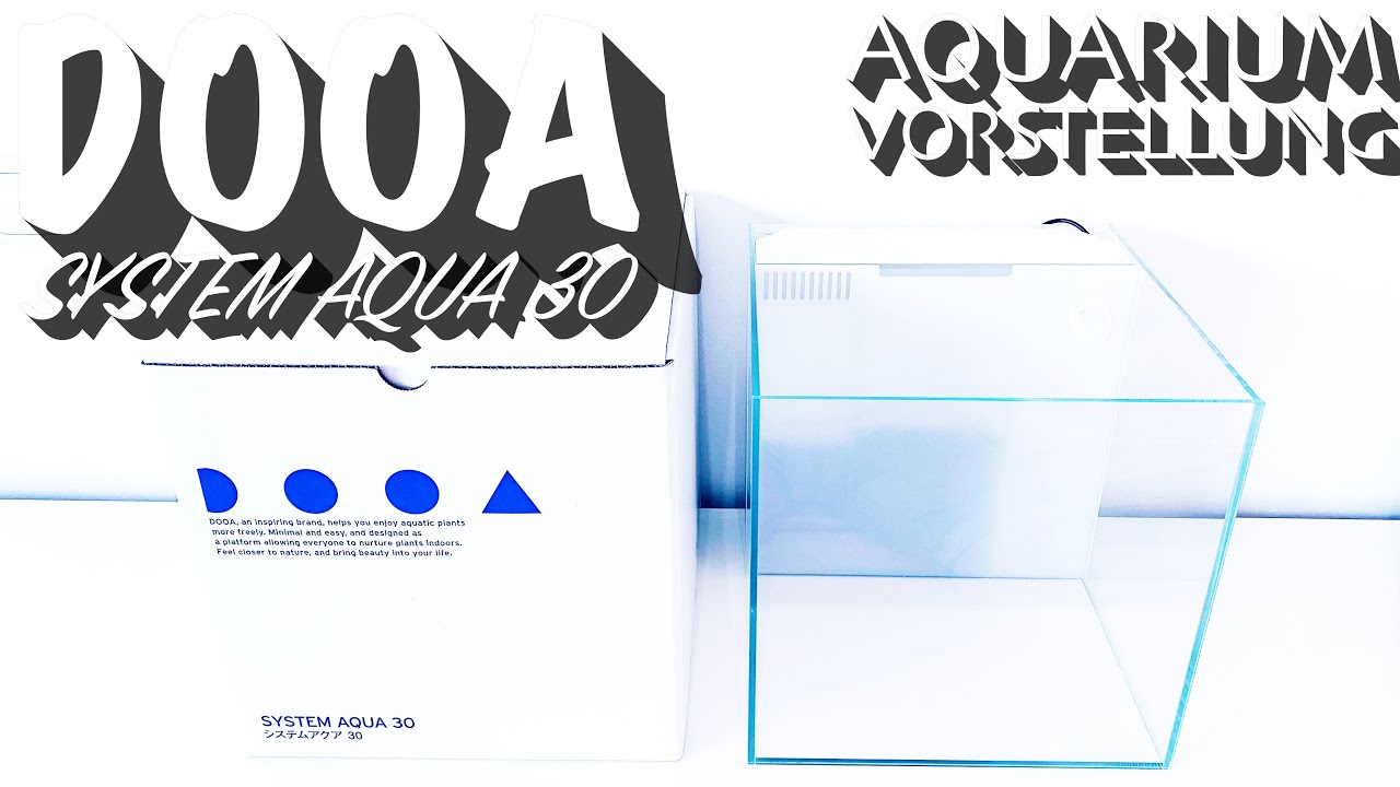 DOOA SYSTEM AQUA 30 Aquarium Vorstellung