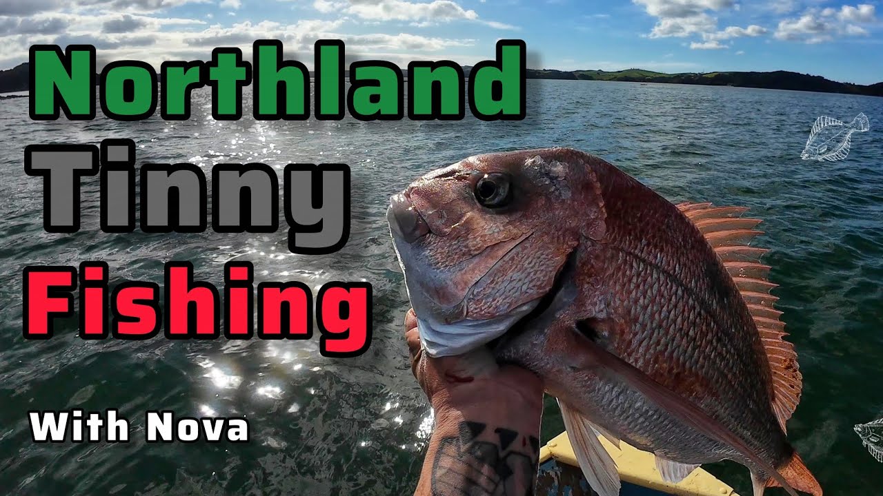 Northland Tinny Fishing with Nova [Catch and Cook] 