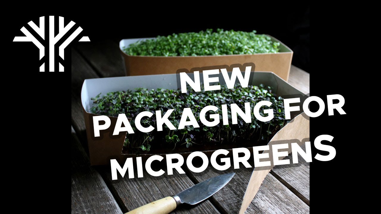 Microgreen carton packaging for restaurants - Nordamark