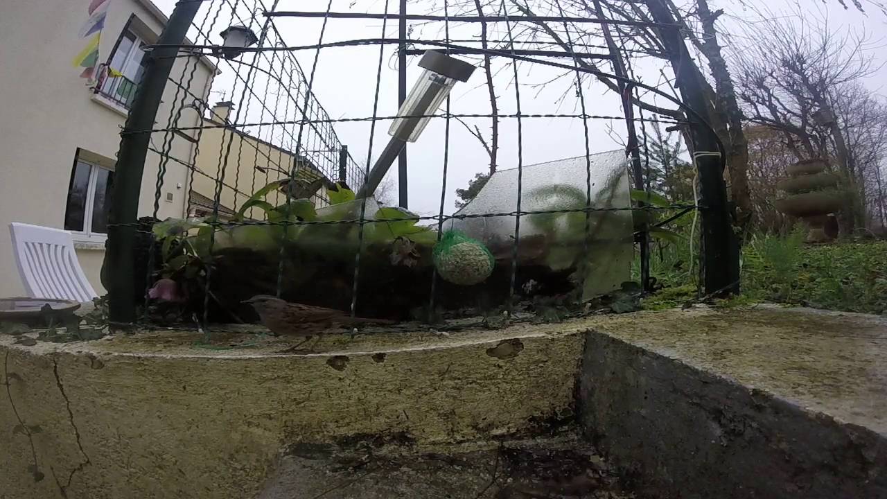La GoPro dans mon jardin....