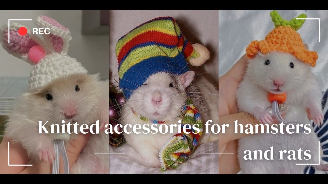 Knitted Goodies for Hamsters and Rats!