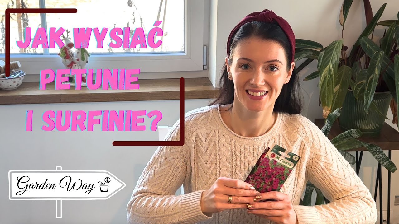 Powrót do petunii i surfinii - jak je wysiać?