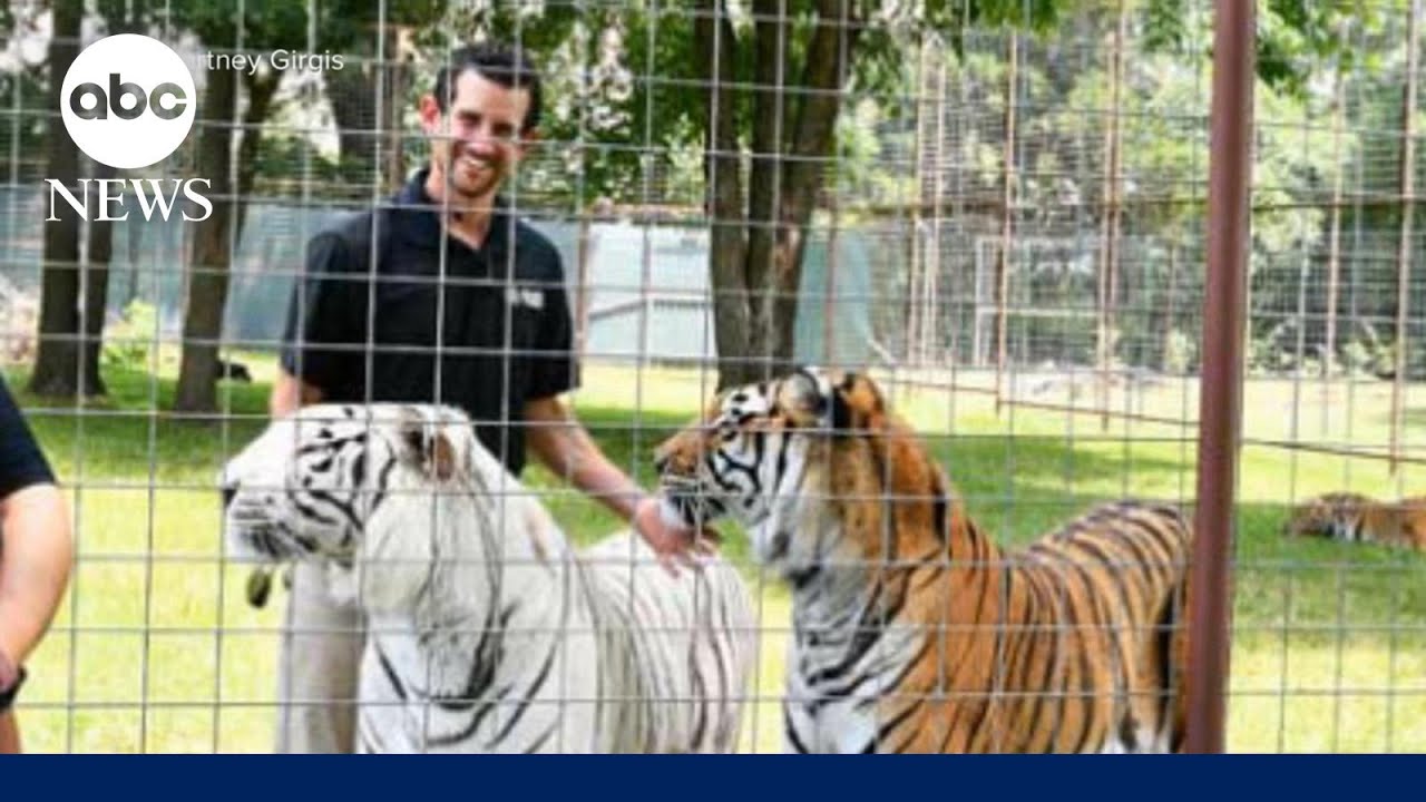 Handler killed in tiger attack during demonstration at Oklahoma preserve