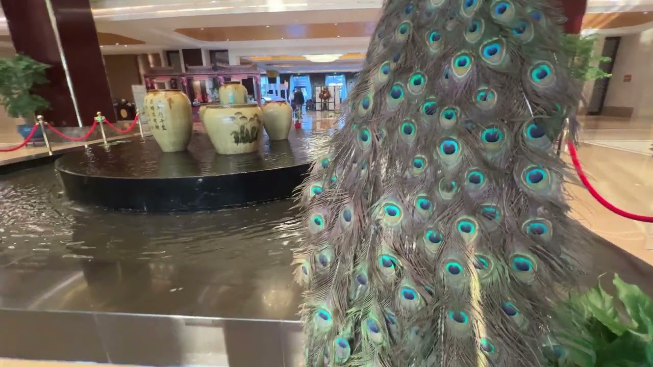 长沙行业论坛地址