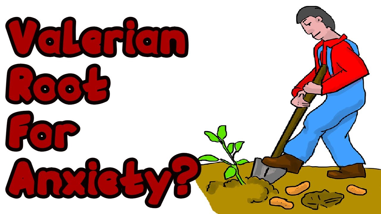 Does Valerian Root Work For Anxiety? My EXPERIENCE!