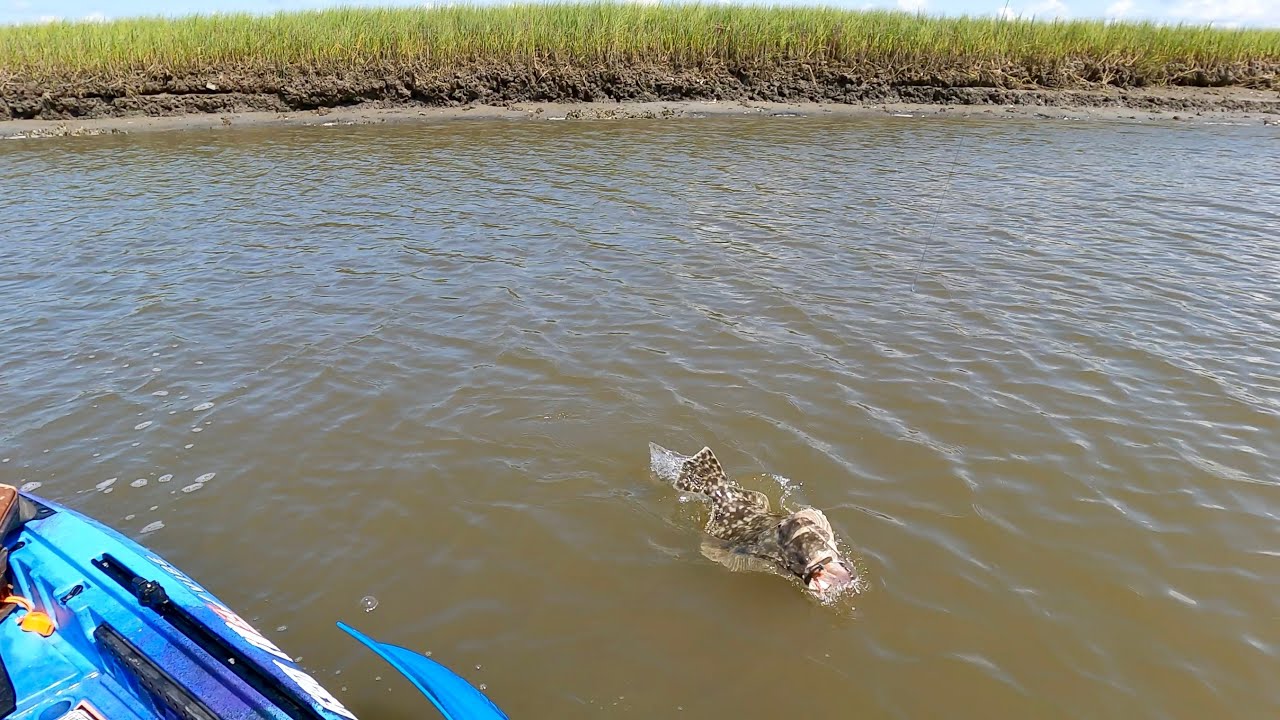 How to catch doormat flounder & shark in cherry grove sc with berkley gulp