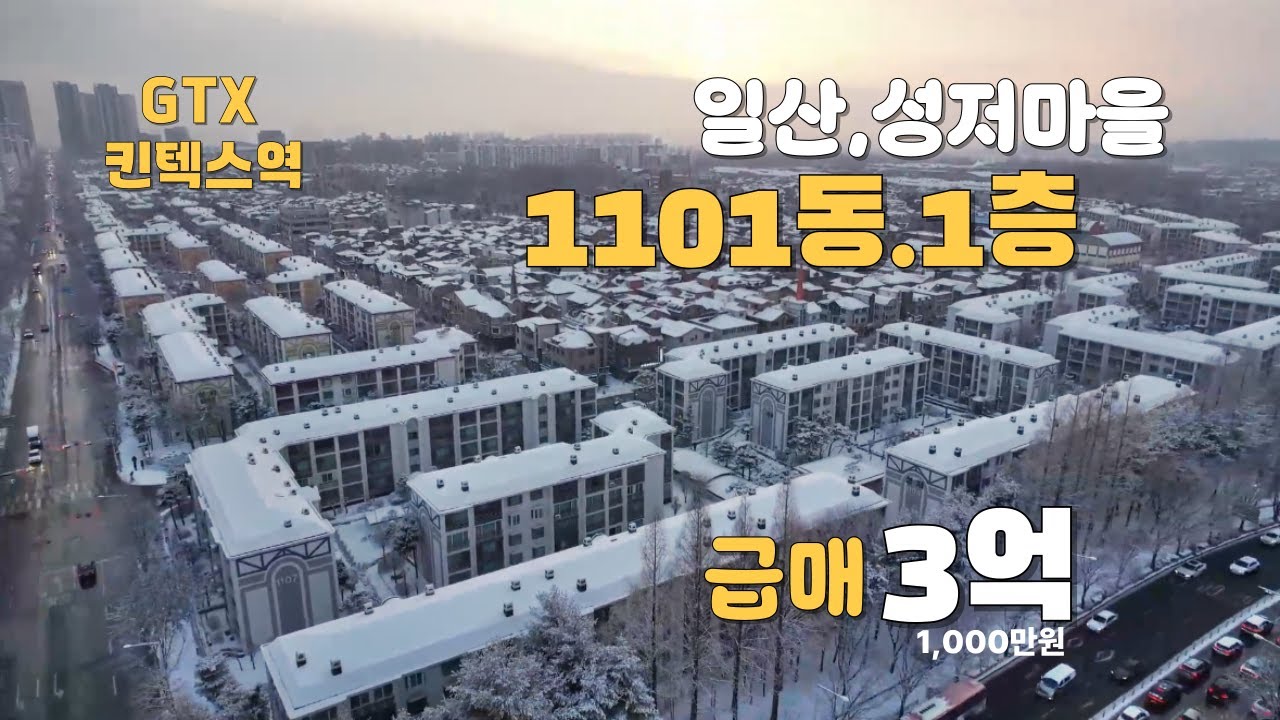 일산 성저마을 1101동.1층 이민관계로(급급매)3억1,000만원