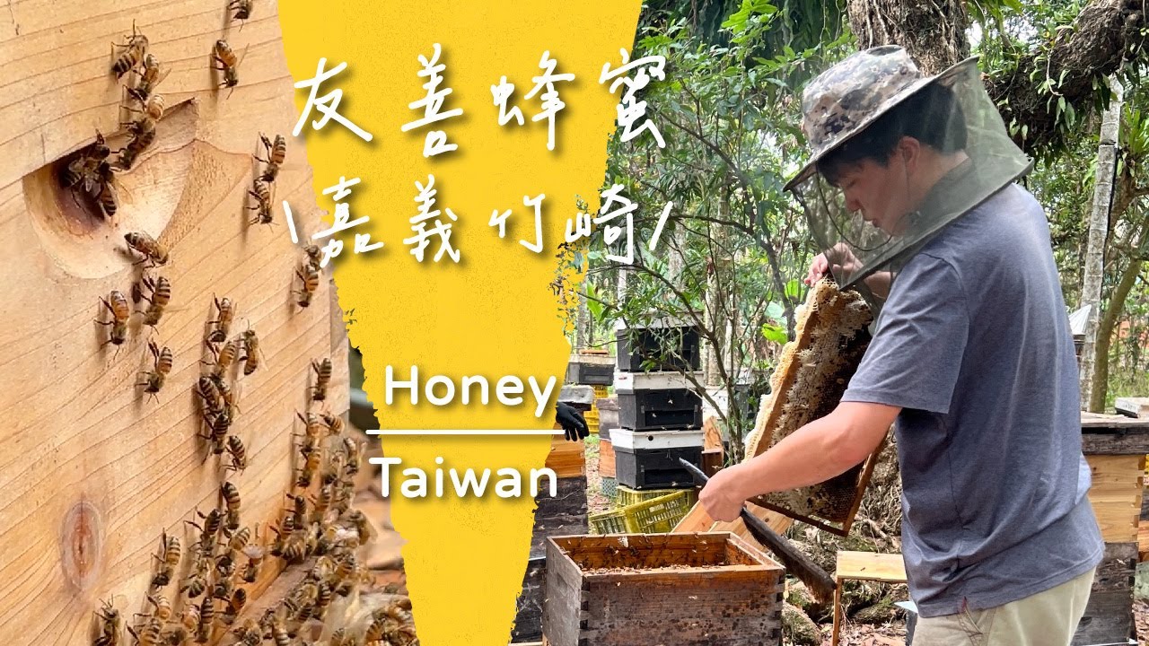 #36 春蜜採收最前線｜友善蜜蜂的養殖方式產量達一公噸｜蜂農二代的轉型｜友蜂農牧