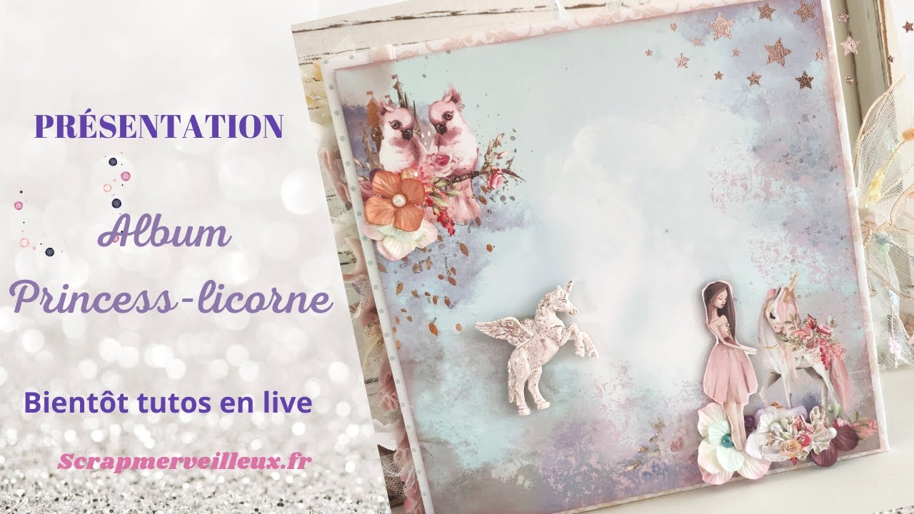 Présentation Album Photo : Princess-Licorne                                     