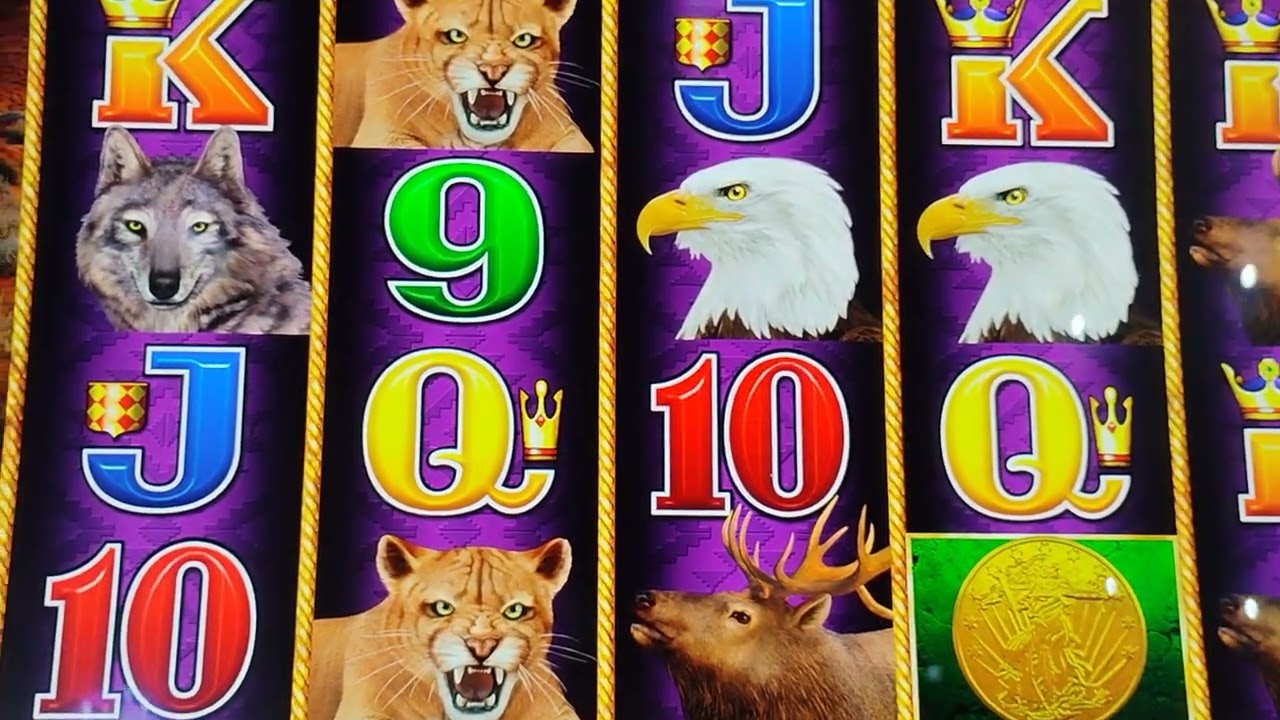 I got a lot of free spins 