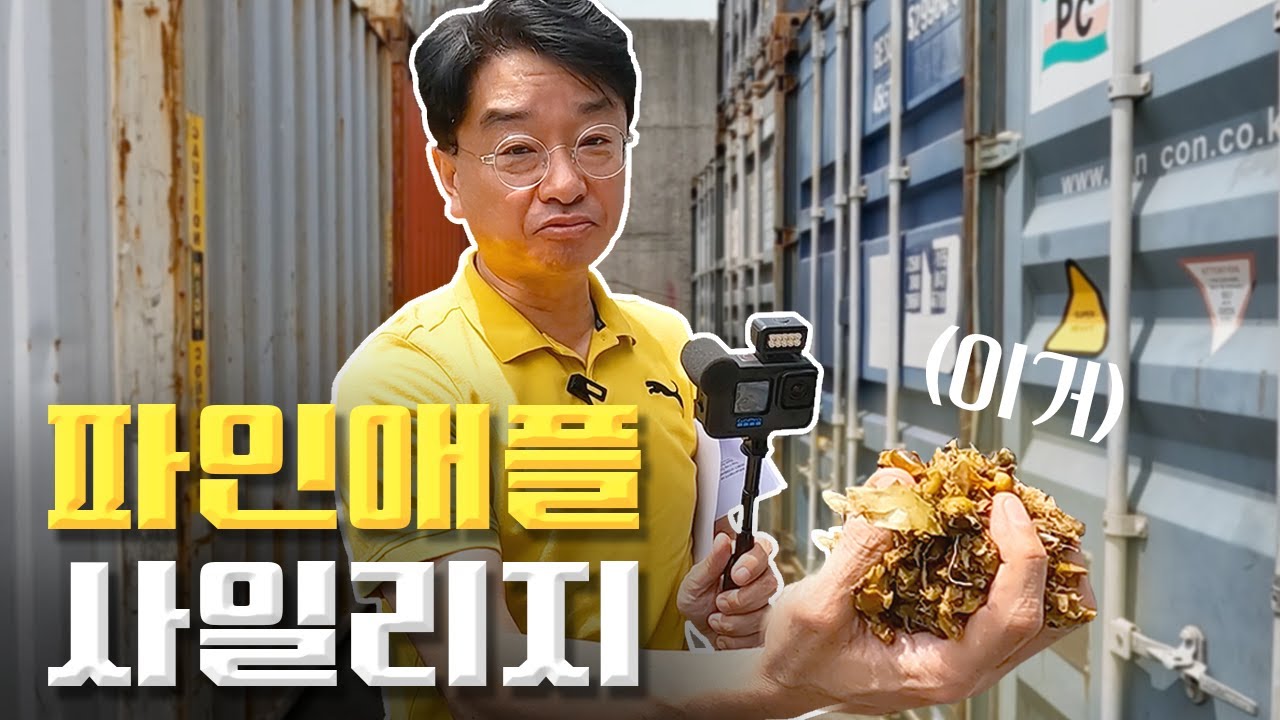 소들도 파인애플 먹는다 | 파인애플 사일리지