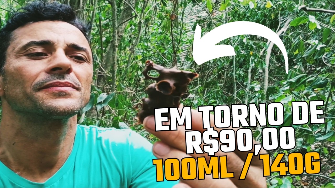 MEL de JATAÍ na CAIXA de CIMENTO com ISOPOR: Vale a Pena Empreender? (R$ 200/Litro!)